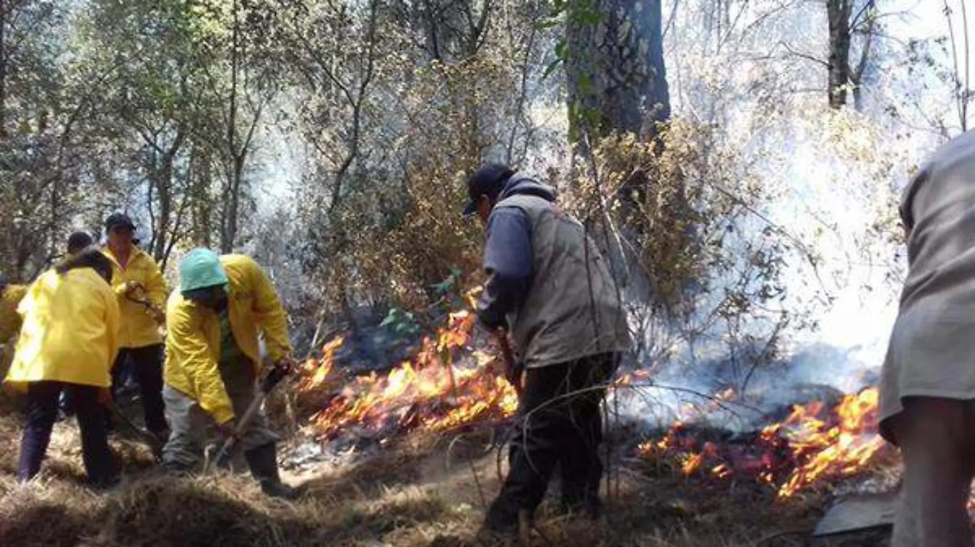 Incendio Afectaciones